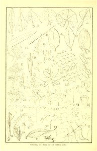 n255_w1150