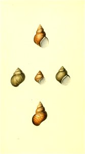 n197_w1150