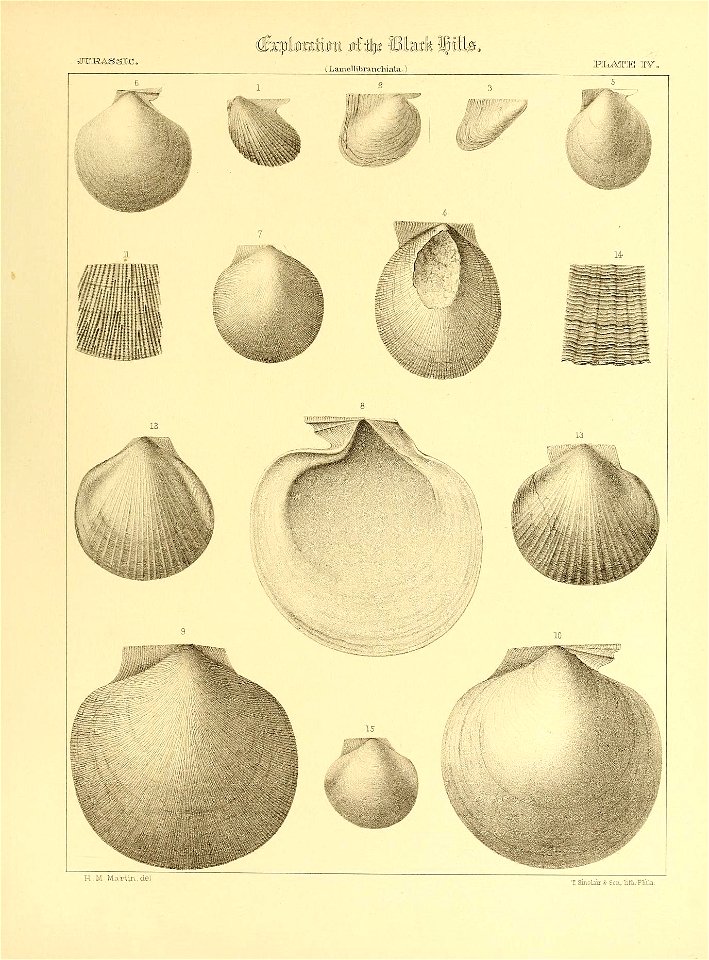 n518_w1150