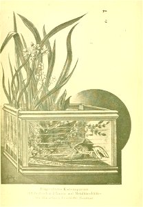 n5_w1150