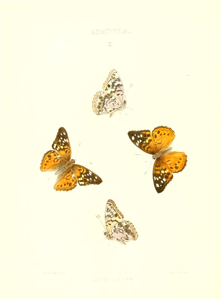 n297_w1150
