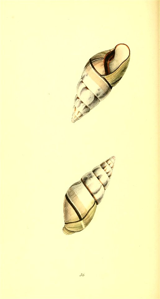 n225_w1150