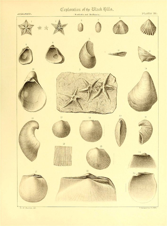 n514_w1150