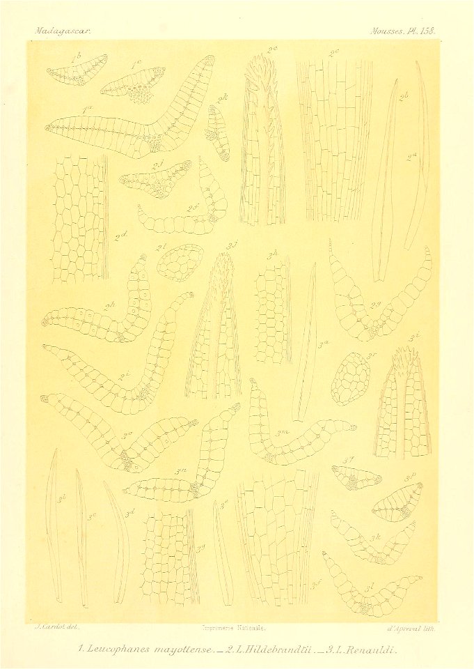 n940_w1150