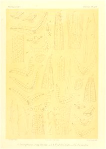 n940_w1150
