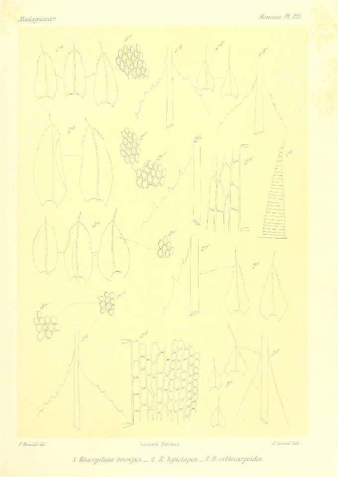 n880_w1150