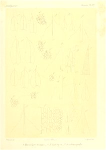 n880_w1150