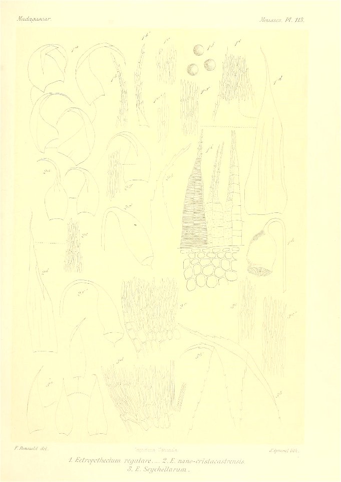 n850_w1150