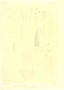 n850_w1150