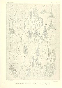 n820_w1150