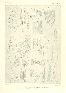 n610_w1150