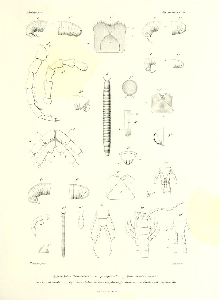 n372_w1150