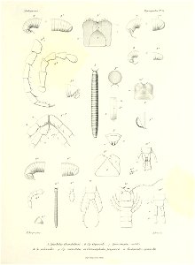 n372_w1150