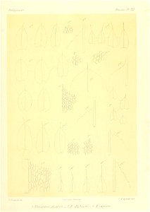 n878_w1150