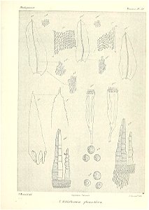 n728_w1150