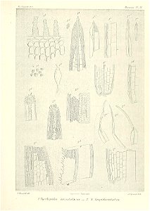 n698_w1150