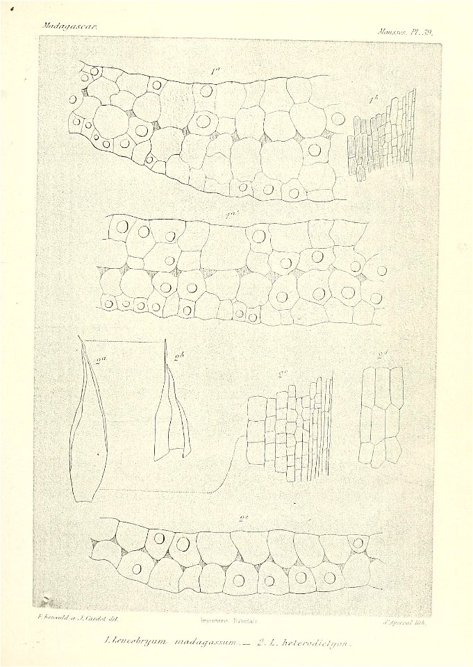 n668_w1150
