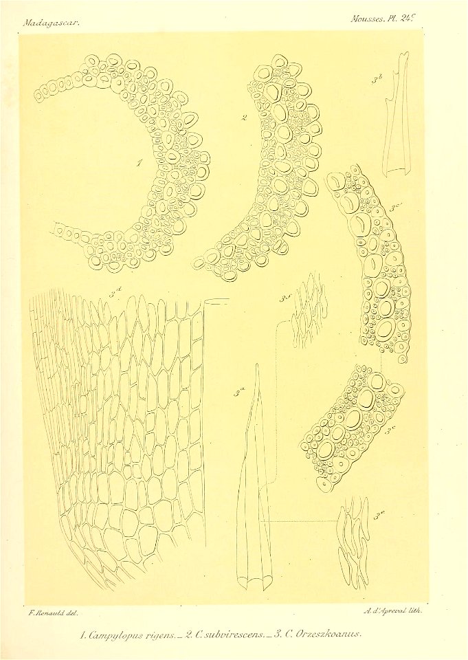 n638_w1150