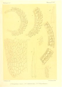 n638_w1150