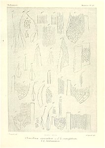 n608_w1150