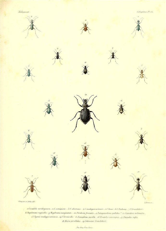 n578_w1150