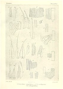 n606_w1150