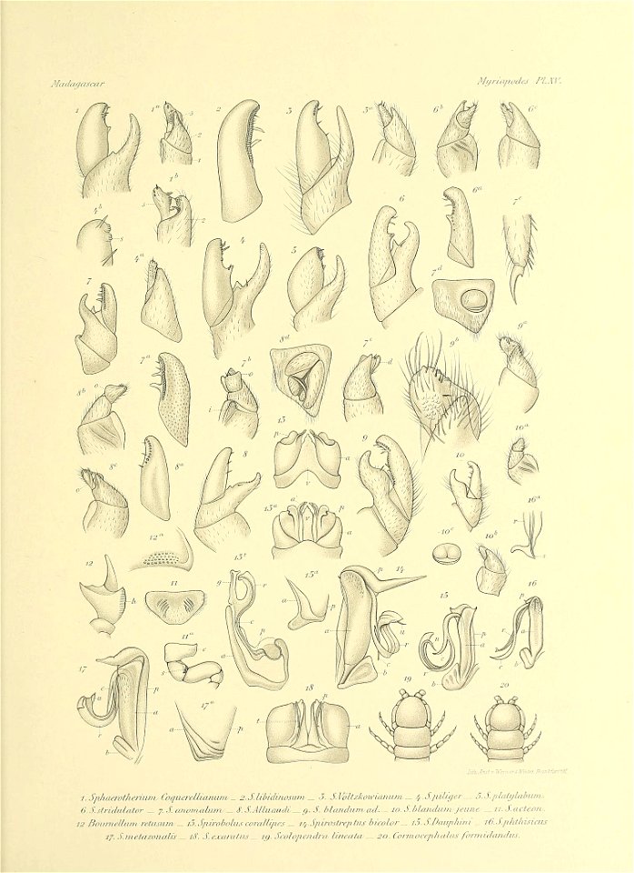 n398_w1150