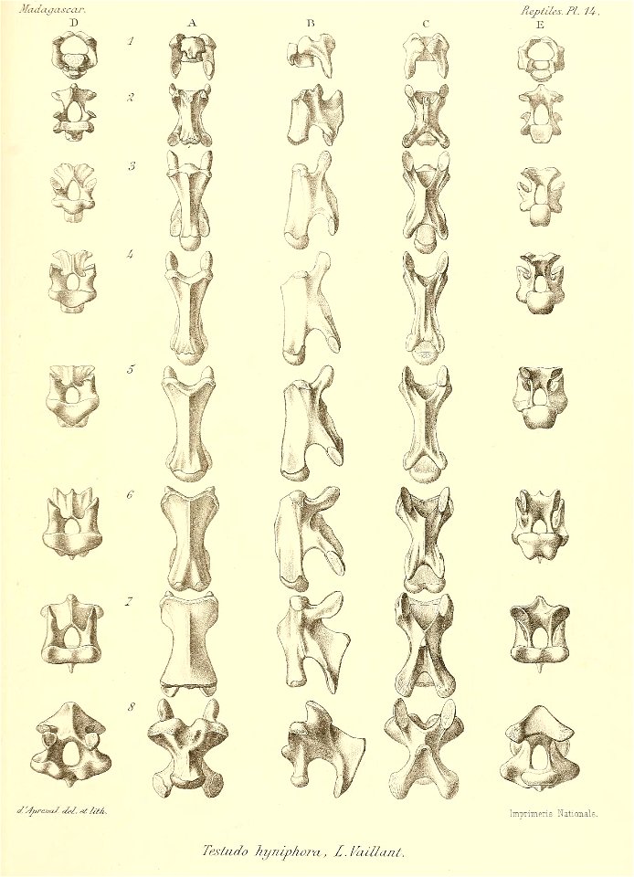 n132_w1150