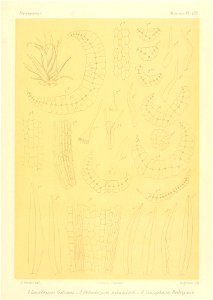 n934_w1150