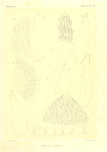 n904_w1150