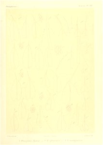 n874_w1150