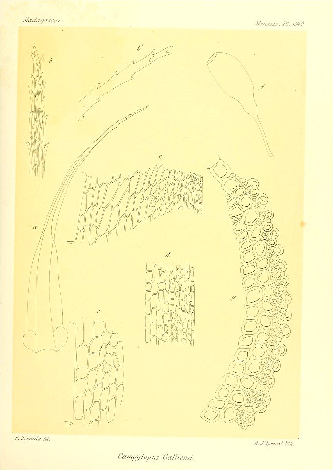 n634_w1150