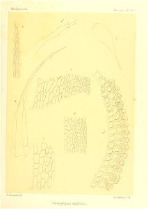 n634_w1150