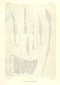 n604_w1150
