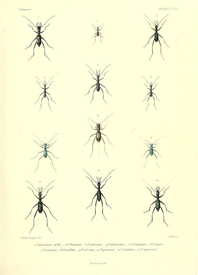n574_w1150