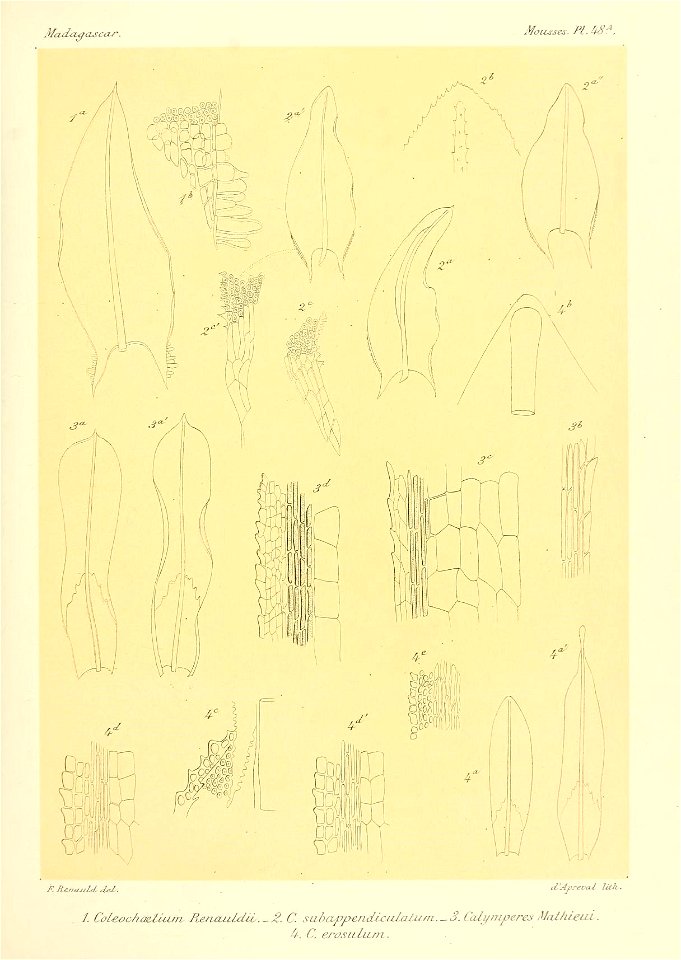 n692_w1150