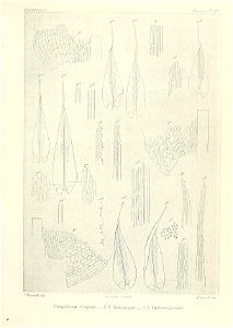 n602_w1150