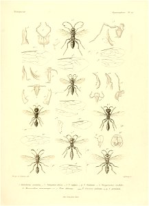 n674_w1150