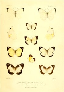 n96_w1150