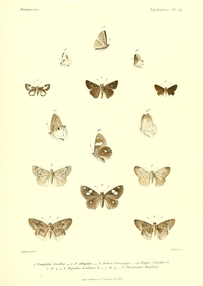 n500_w1150