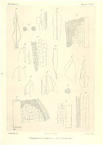 n690_w1150