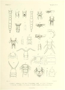 n392_w1150