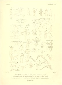 n672_w1150