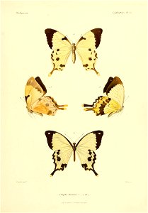 n124_w1150