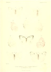n468_w1150