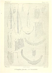 n658_w1150