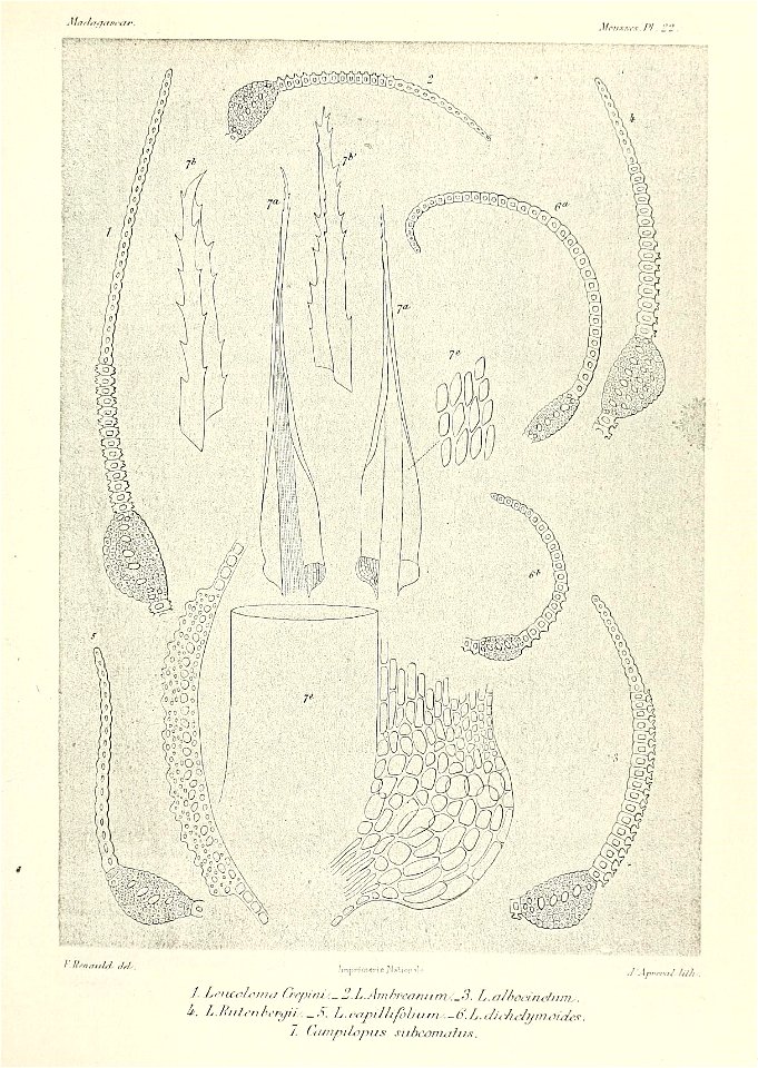 n628_w1150