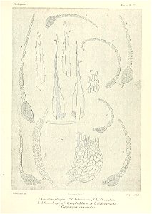 n628_w1150