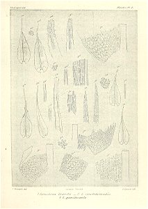 n598_w1150