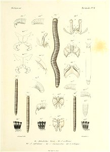 n390_w1150